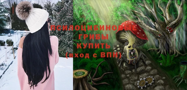 СК Белокуриха