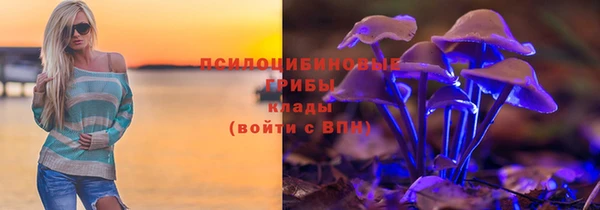 СК Белокуриха