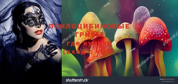 СК Белокуриха